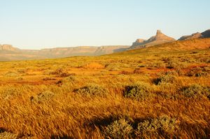 landscape in the Great Karoo