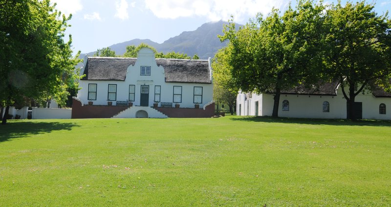 wine estate near Stellenbosch
