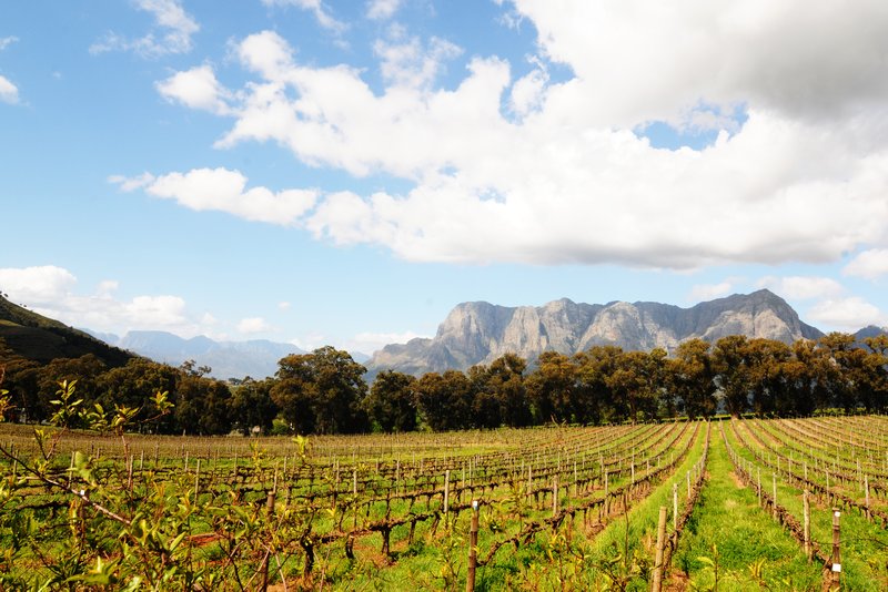 the wine country between Franschhoek and Stellenbosch