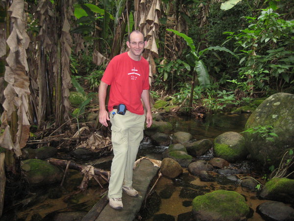In the Rain Forest near Caxadaco