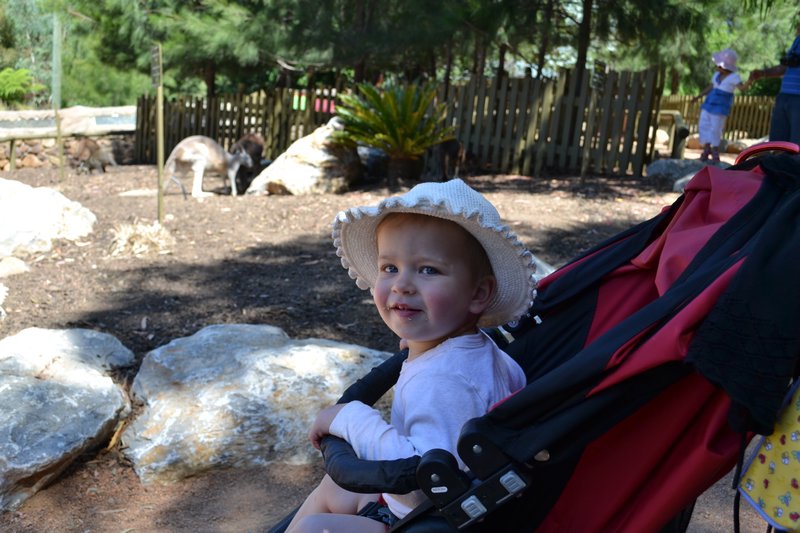 Mabel's first visit to the Zoo!