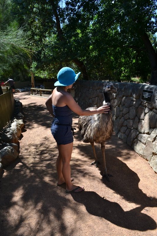 Joanne stroking an Emu... 
