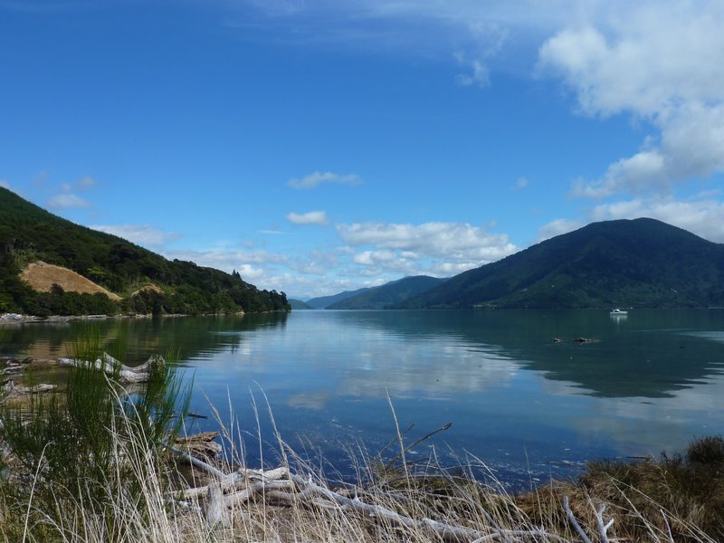 Scenery between Nelson and Picton