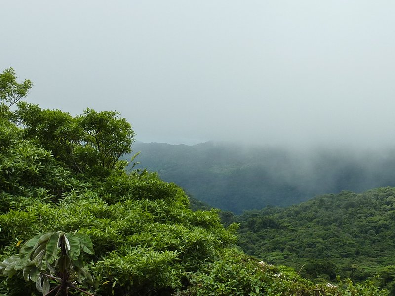 Cloud Forest at Santa Elena