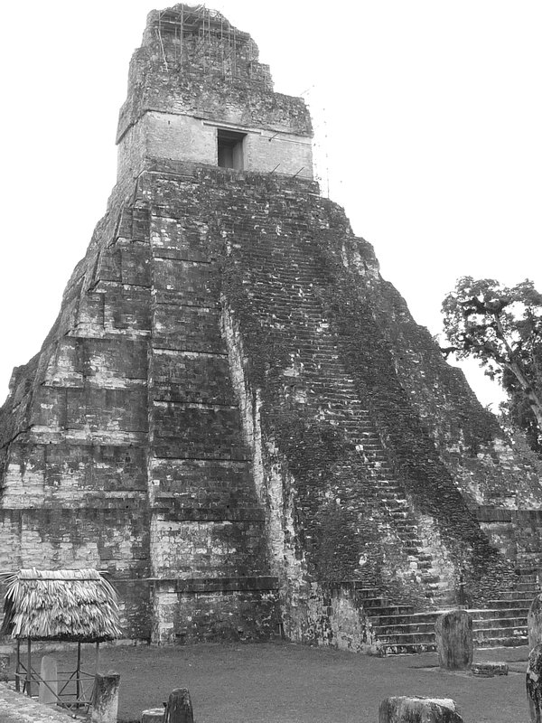 Tikal View