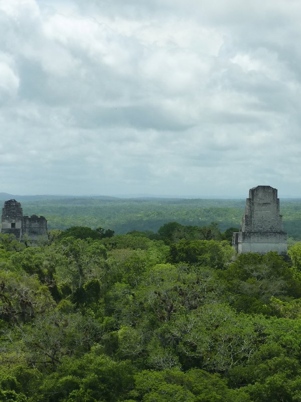 Tikal View