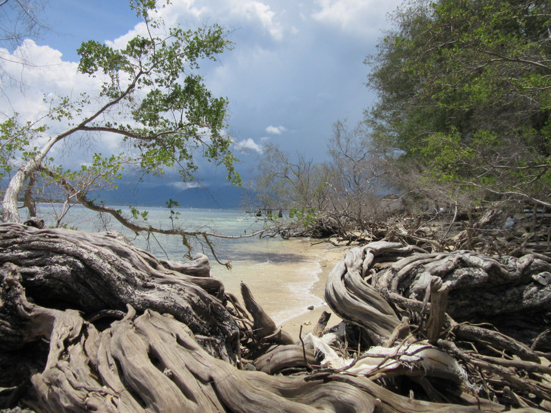 Gili Meno - beach trees view