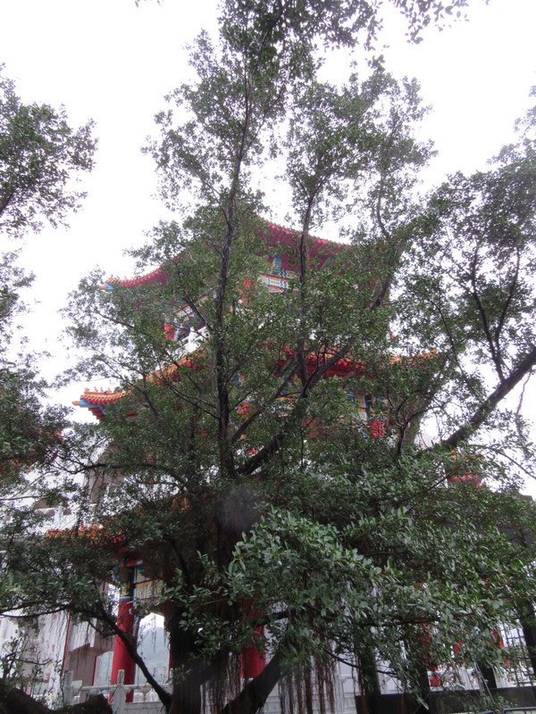 Jilongzhongzheng Park