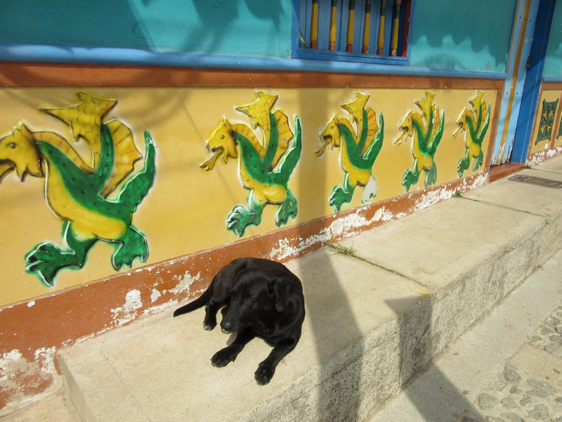 Guatape houses with added dog