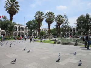 Plaza de Armas by day