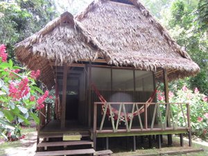 Our jungle cabin