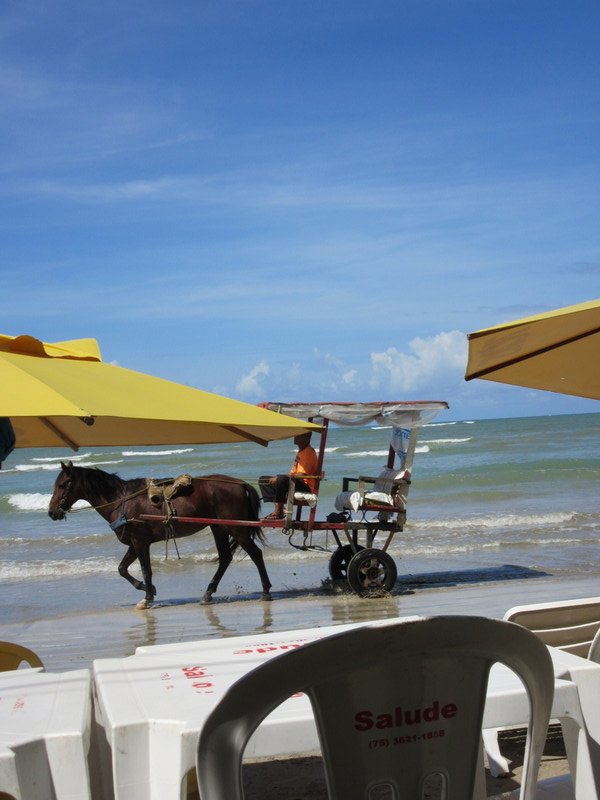 Horse and cart while at Kiosk de Binho