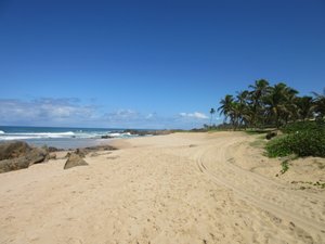 Beach near Villa Tropicale