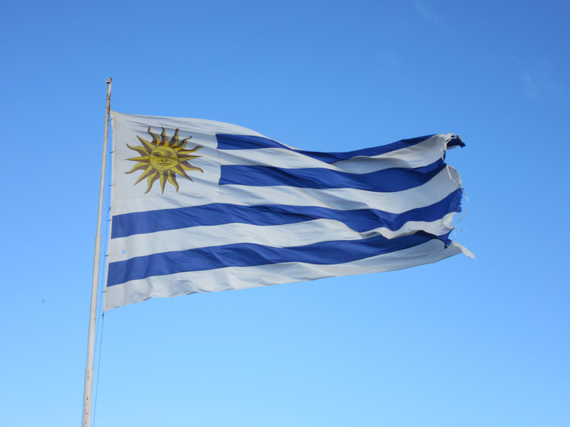 Uruguayan flag in the breeze