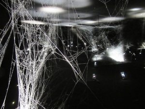 Spider web art at the Contemporary Art Gallery