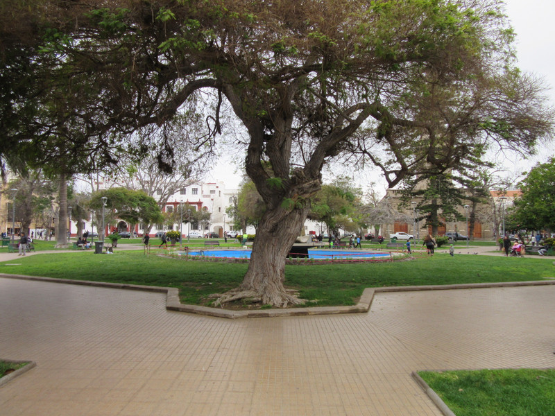 The big main plaza