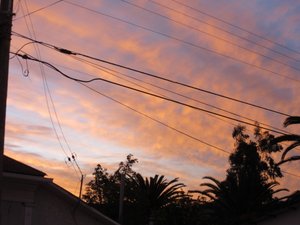 Vicuna sunset