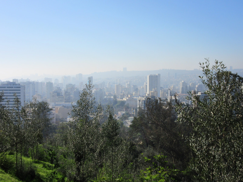 View from the park in Vina del Mar