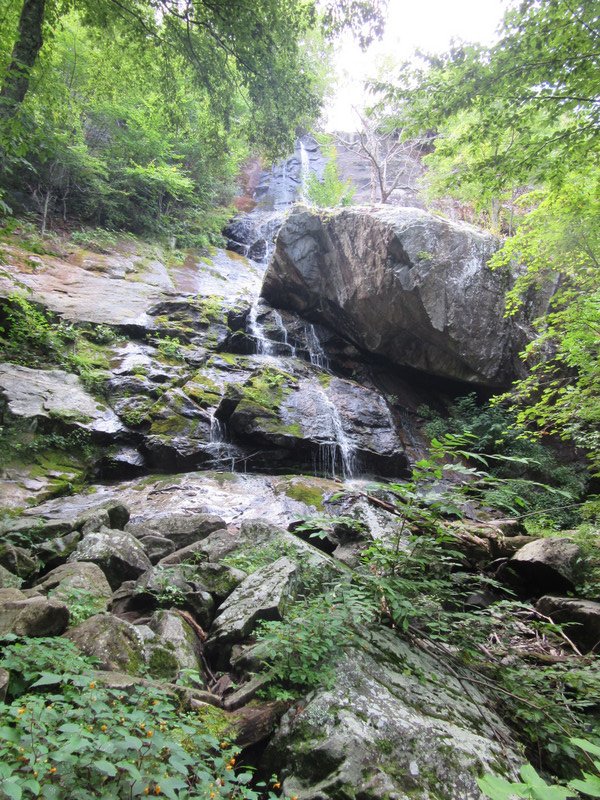 North Creek trek - Apple Orchid Falls