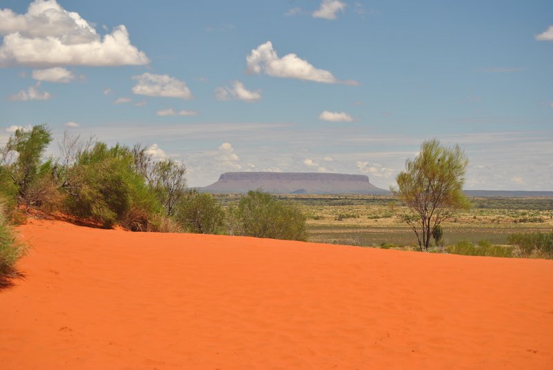 Uluru from Atop a Sand Dune