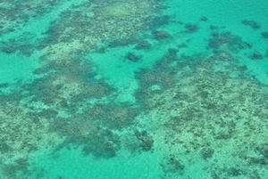 Aerial View of the Great Barrier Reef