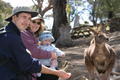 The Alarcons feeding a kangaroo