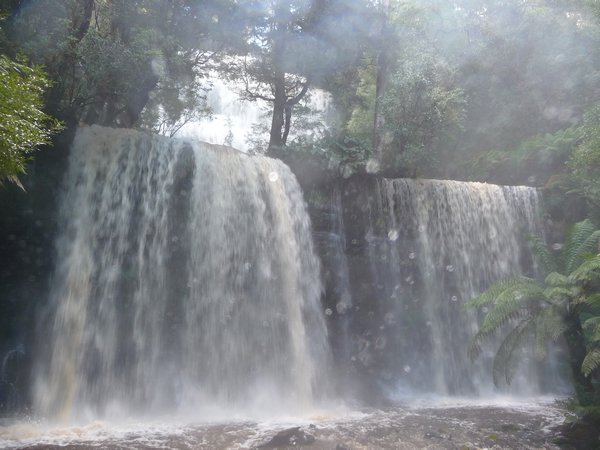 A full Russell Falls