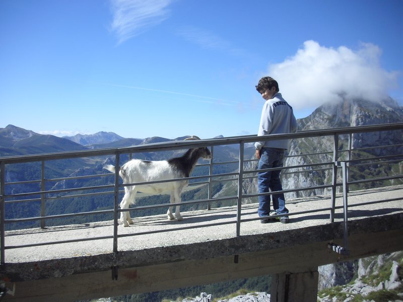 Alvaro and a wandering goat