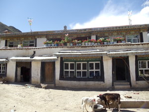 Tibetan Rural House