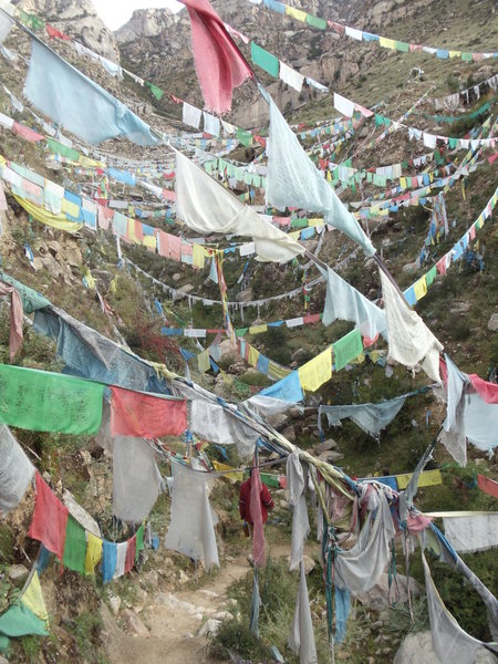 Prayer Flags along the trail