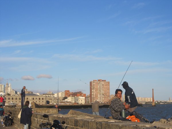 fiskeri ved havnefronten