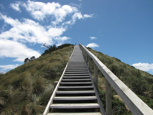 Up to the Bruny Island Lookout