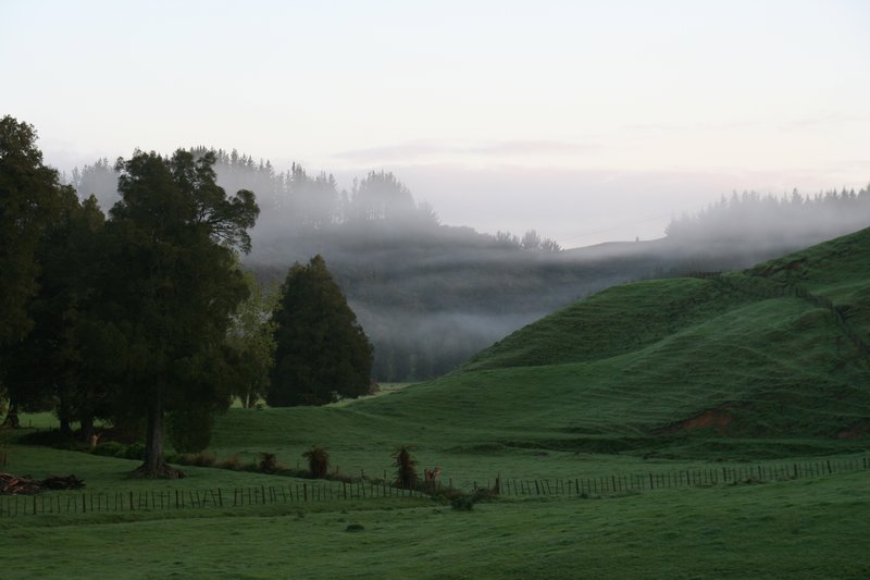 Waitomo Valley in the morning