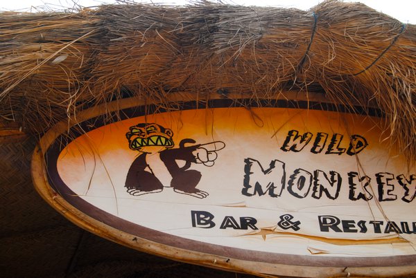 Evil monkey bar in Kololi