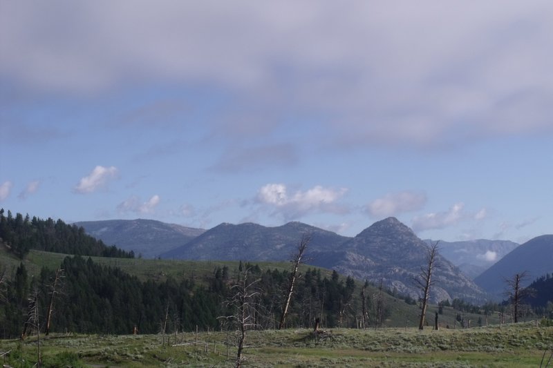 Yellowstone views