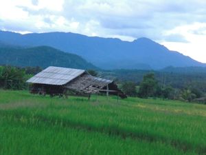 Rural Thailand