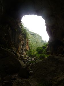 Devil's Coach House, Jenolan Caves