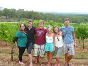 Group in the vineyards 