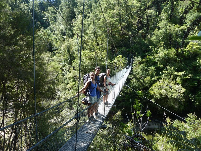 Swing Bridge ,Abel Tasman  