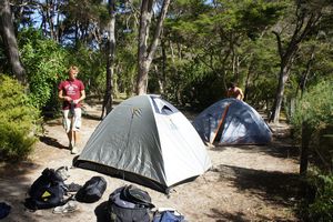 Camping in Abel Tasman National Park