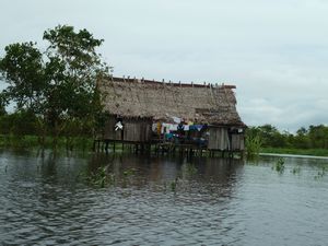 Houses on the River Amazon 