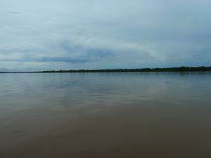 River Amazon - its so wide! 