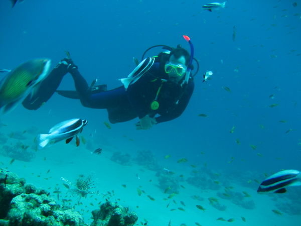 Diving at Abu Helal
