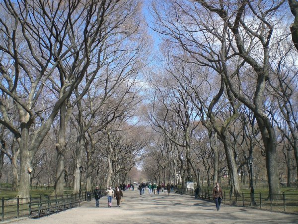 The Mall, Central Park