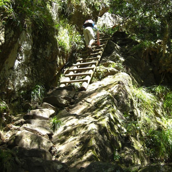 Hiking up Table Mountain