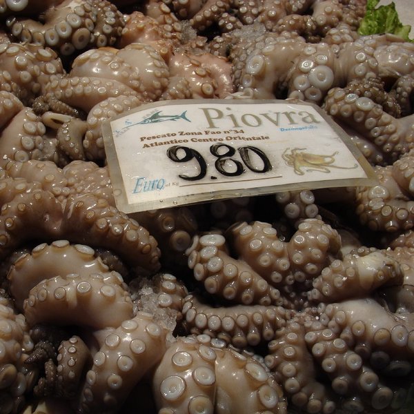 Octopus, Rialto market