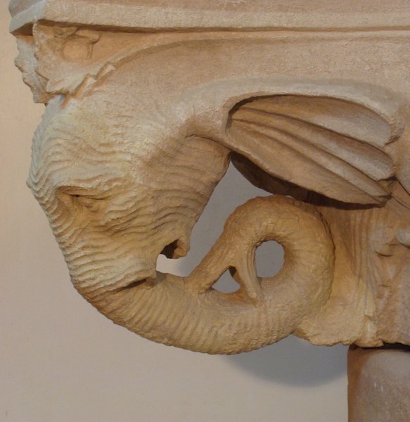 Elephant head, Petra museum