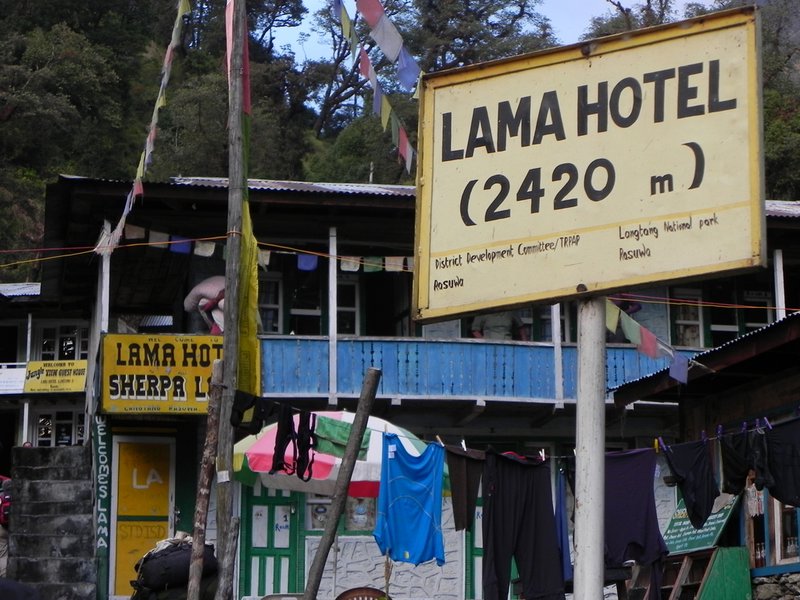 Arrival at Lama hotel