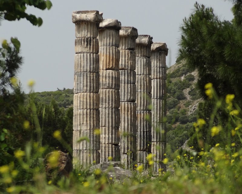 The Temple of Athena, Priene