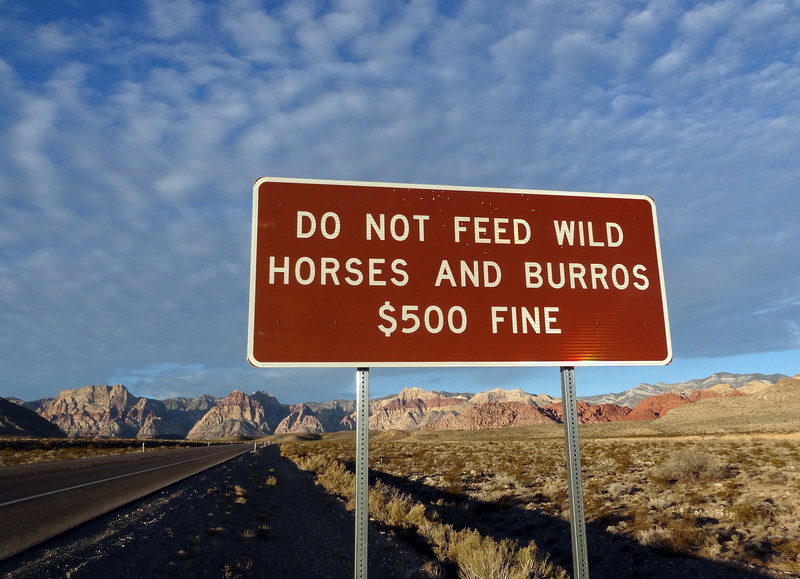 Road sign near Red Rock Canyon